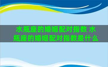 水瓶座的婚姻配对指数 水瓶座的婚姻配对指数是什么